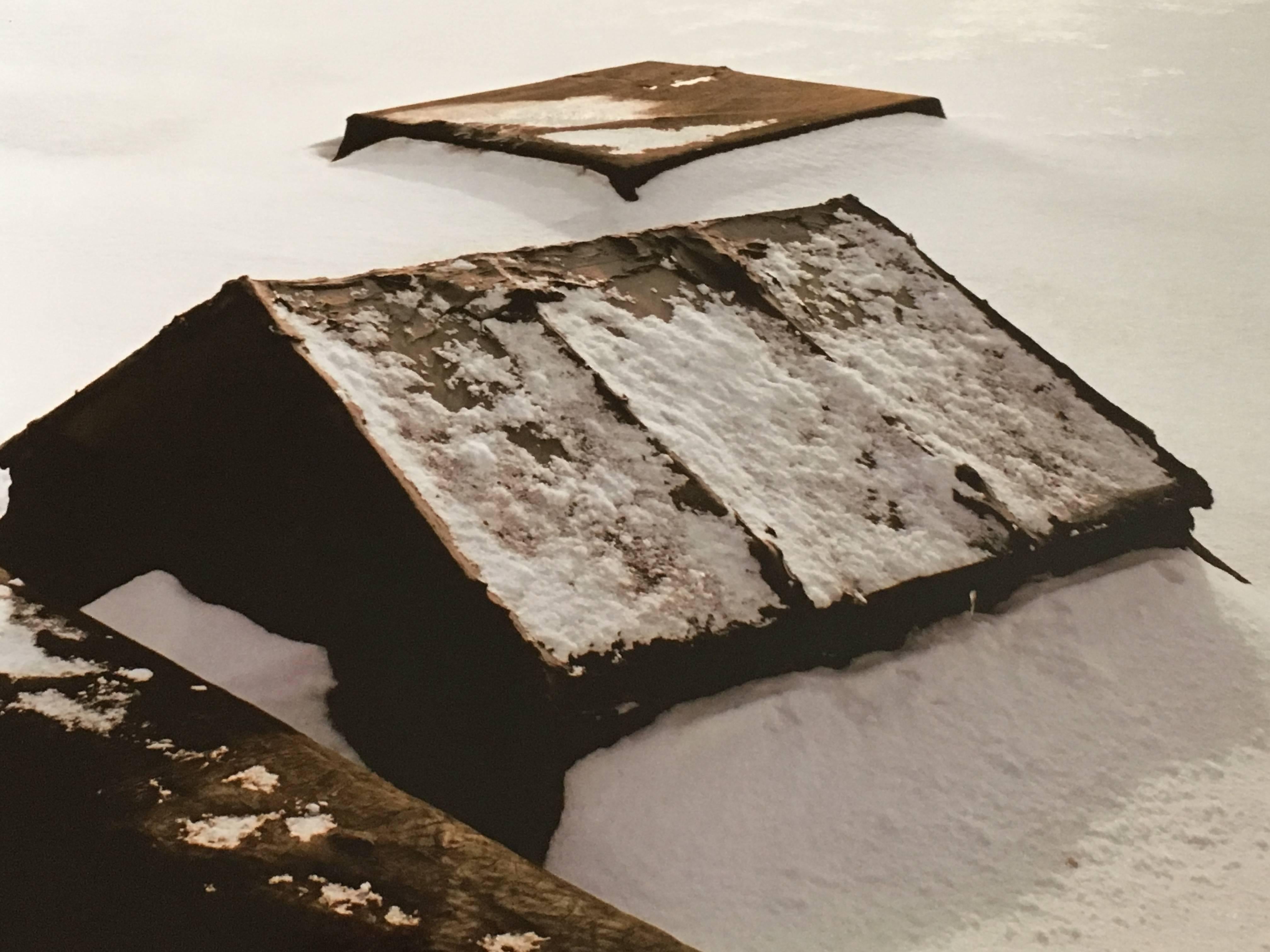 Carl Lewis, photographie couleur de Chicago à grande échelle en vente 1