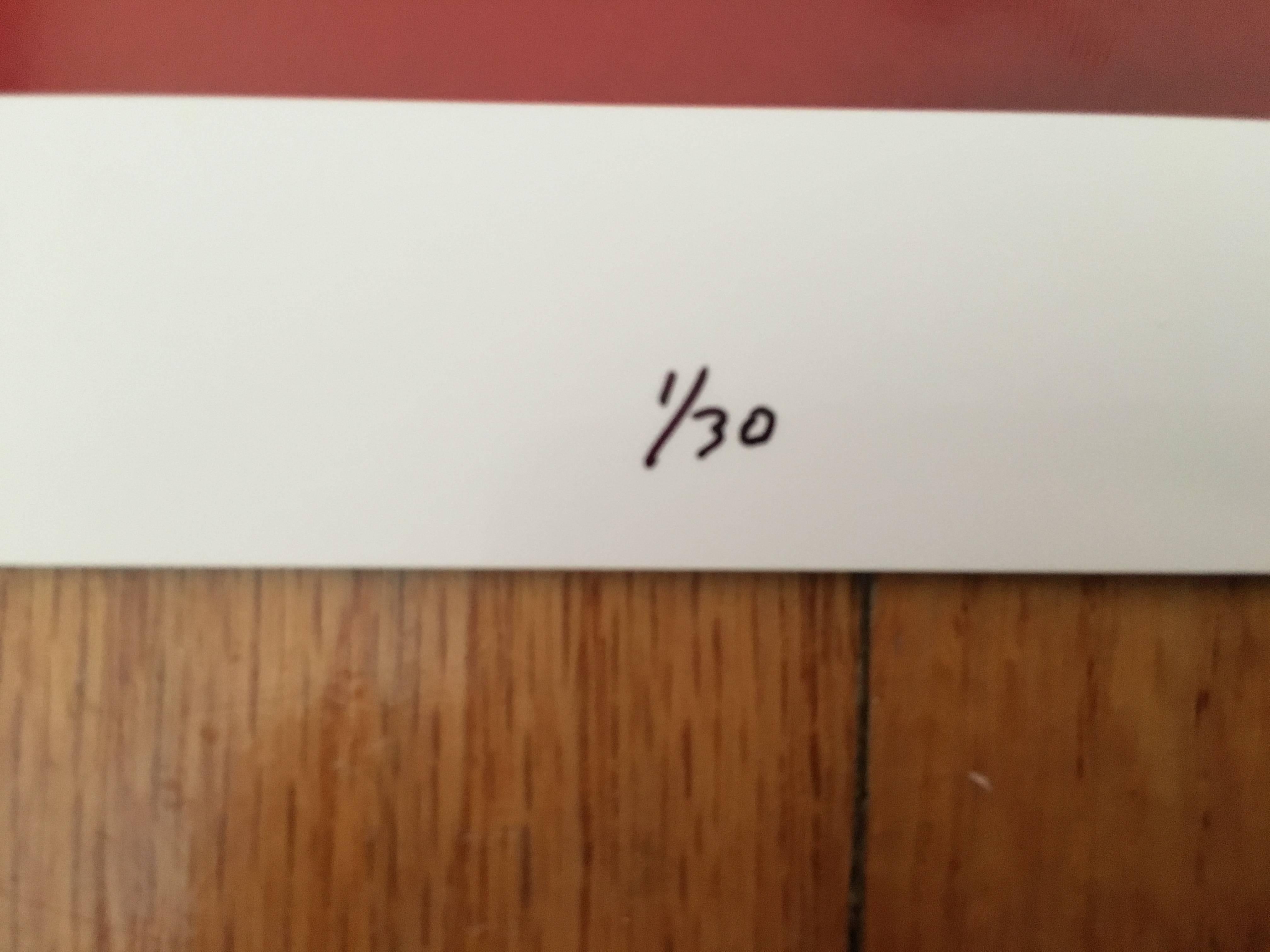 St. Jude, Large Scale Chicago Color Photograph For Sale 3