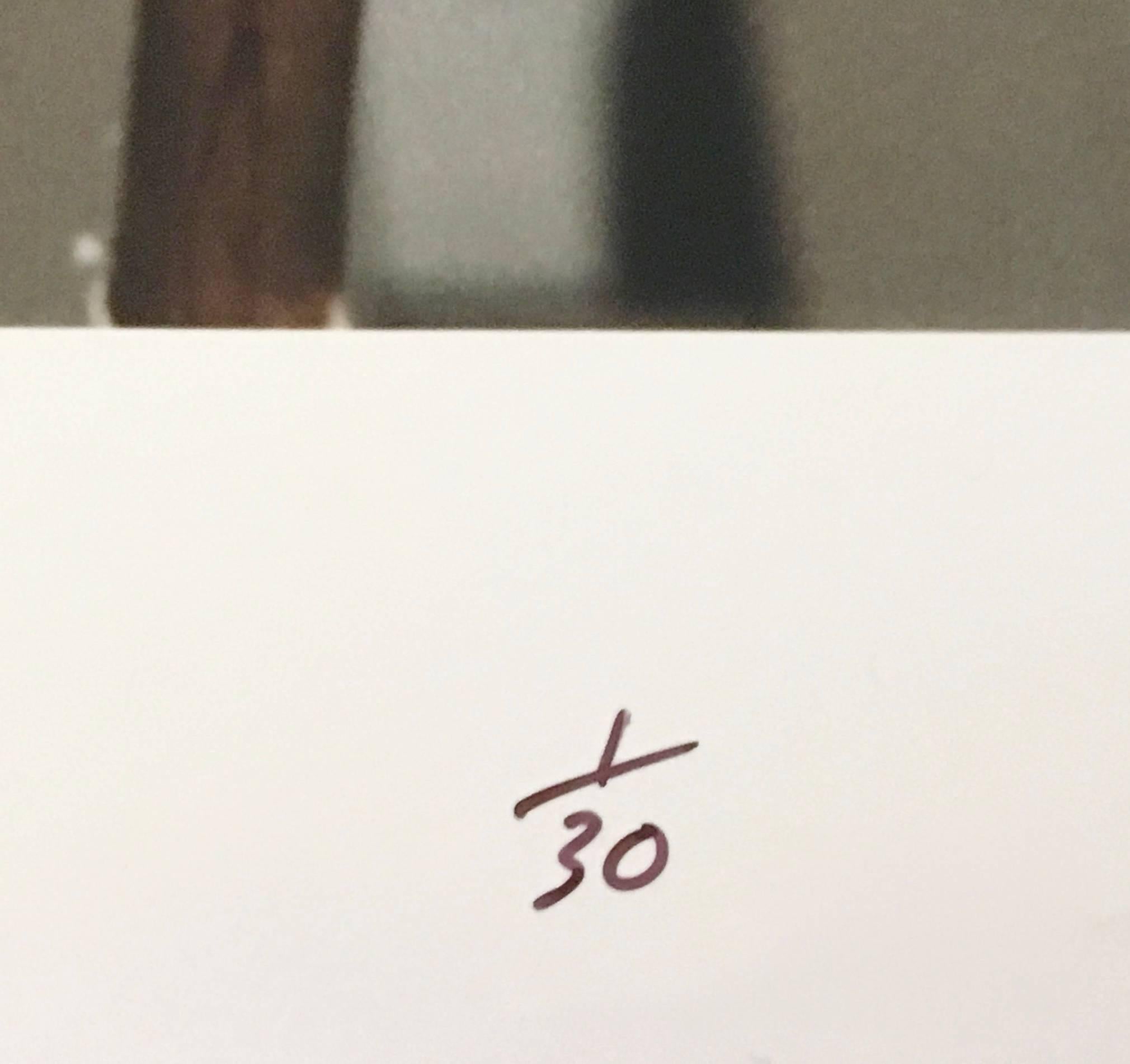 Sukkah Chicago Loop Synagogue, Large Scale Color Photograph For Sale 2