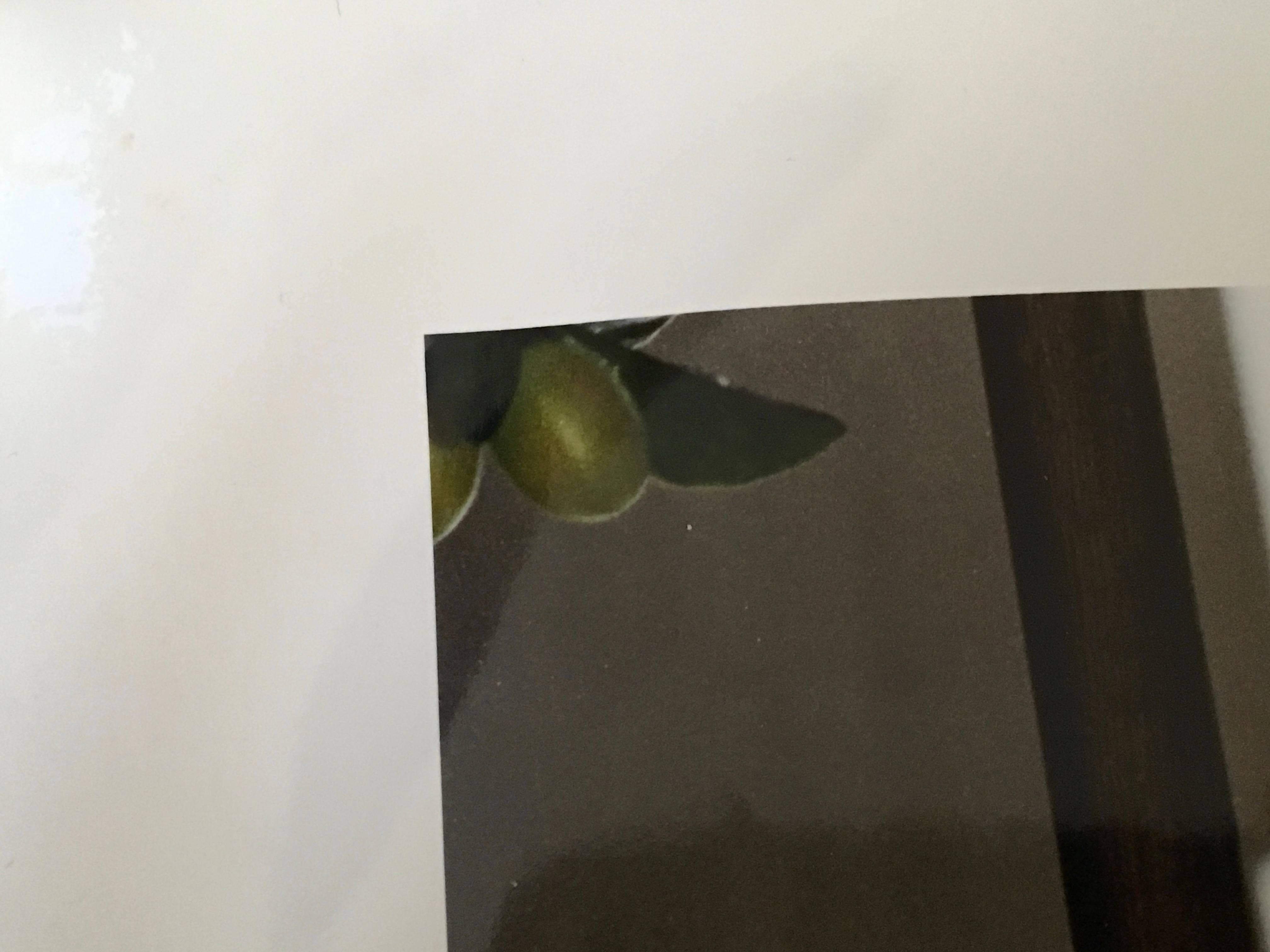 Sukkah Chicago Loop Synagogue, Large Scale Color Photograph For Sale 6