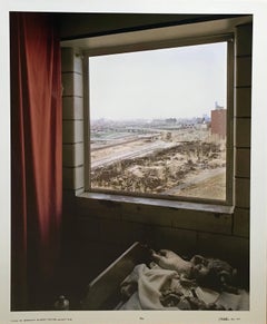 View Fr. Bedroom, Robert Taylor Homes, Large Scale Chicago Color Photograph