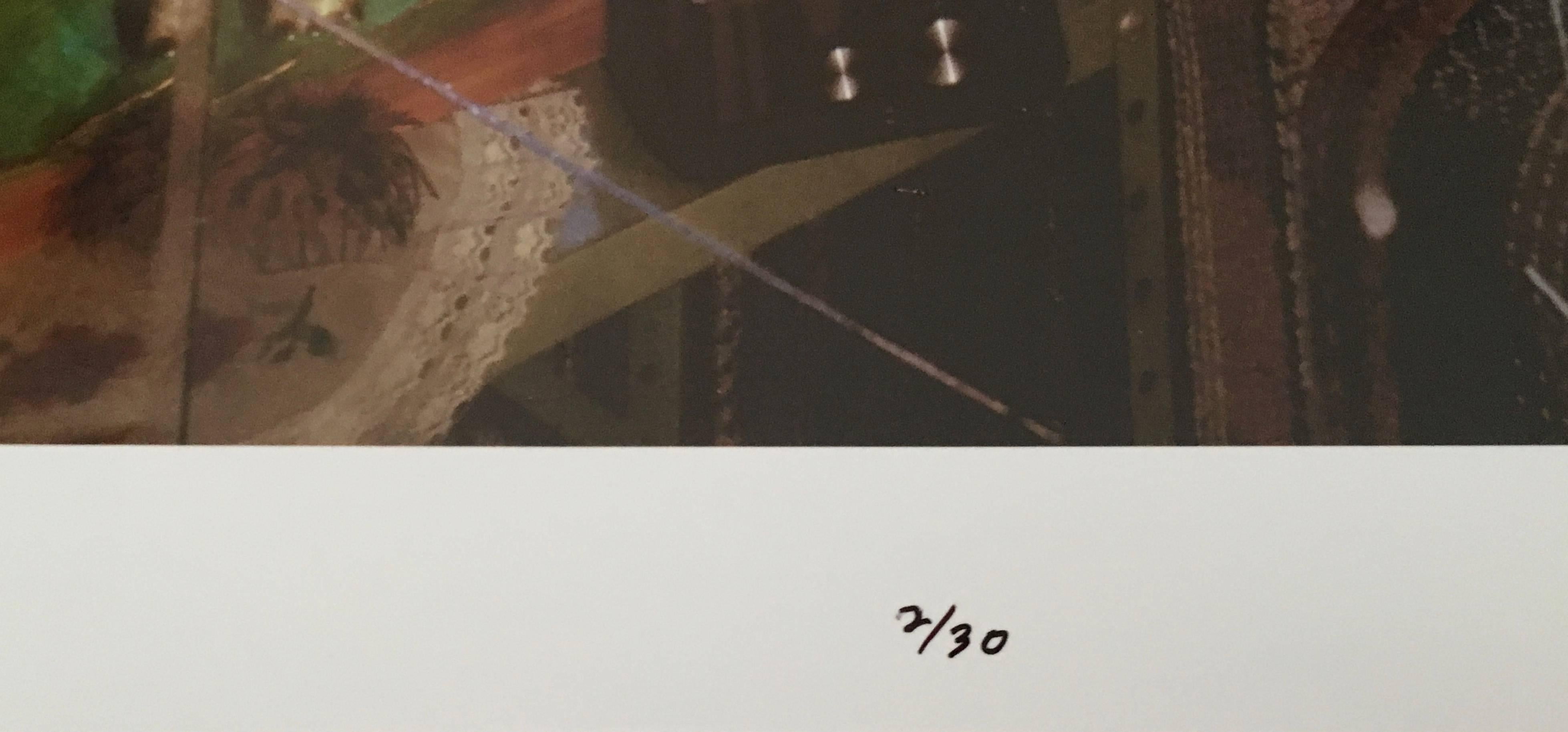 Voir Fr. Photographie couleur de Chicago à grande échelle en vente 1