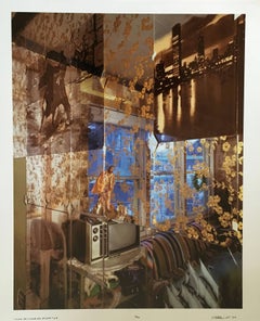 Voir Fr. Photographie couleur de Chicago à grande échelle