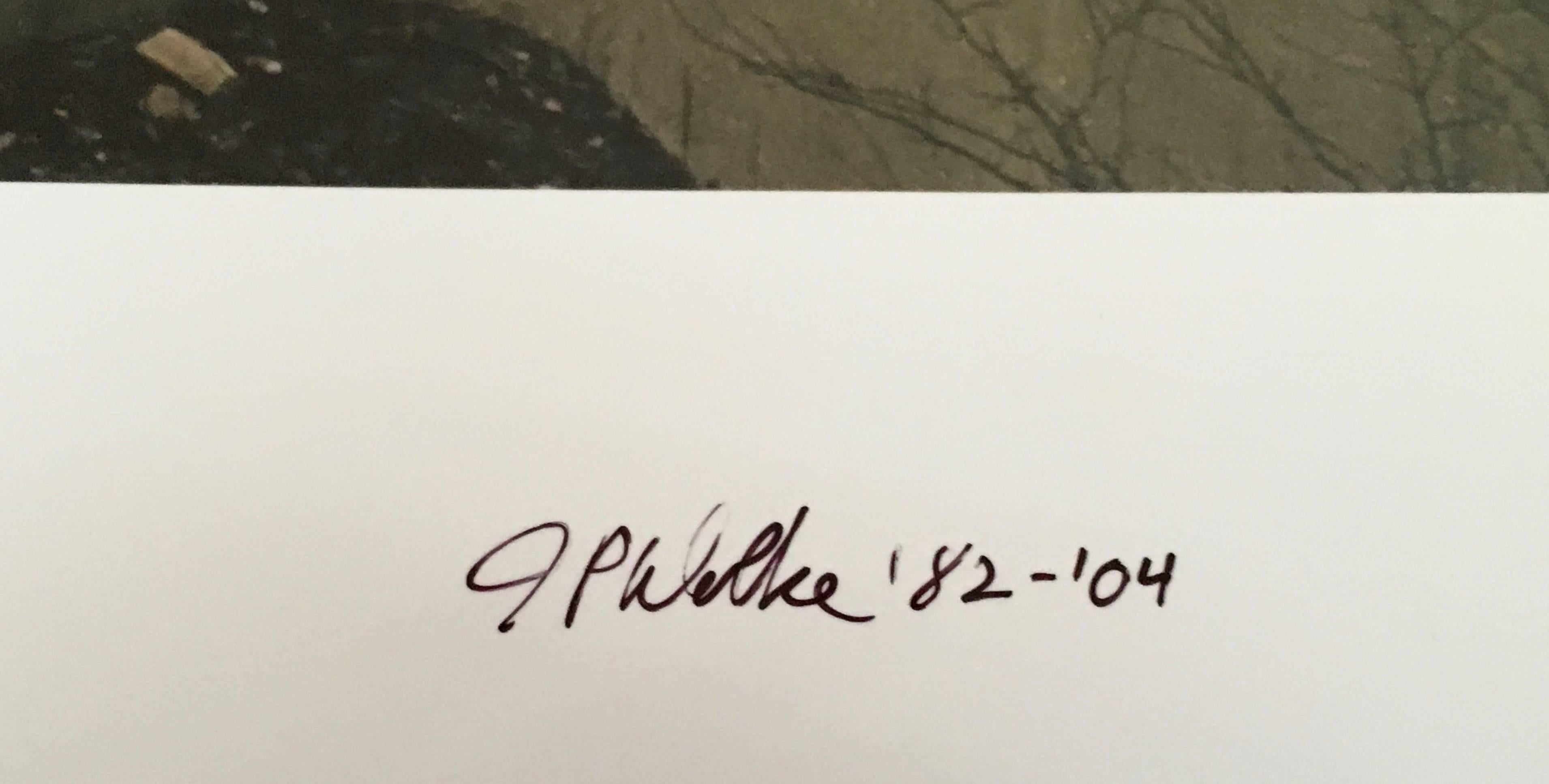 Vue de N. FR. Jackson Park, photographie couleur à grande échelle de Chicago - Gris Color Photograph par Jay Wolke