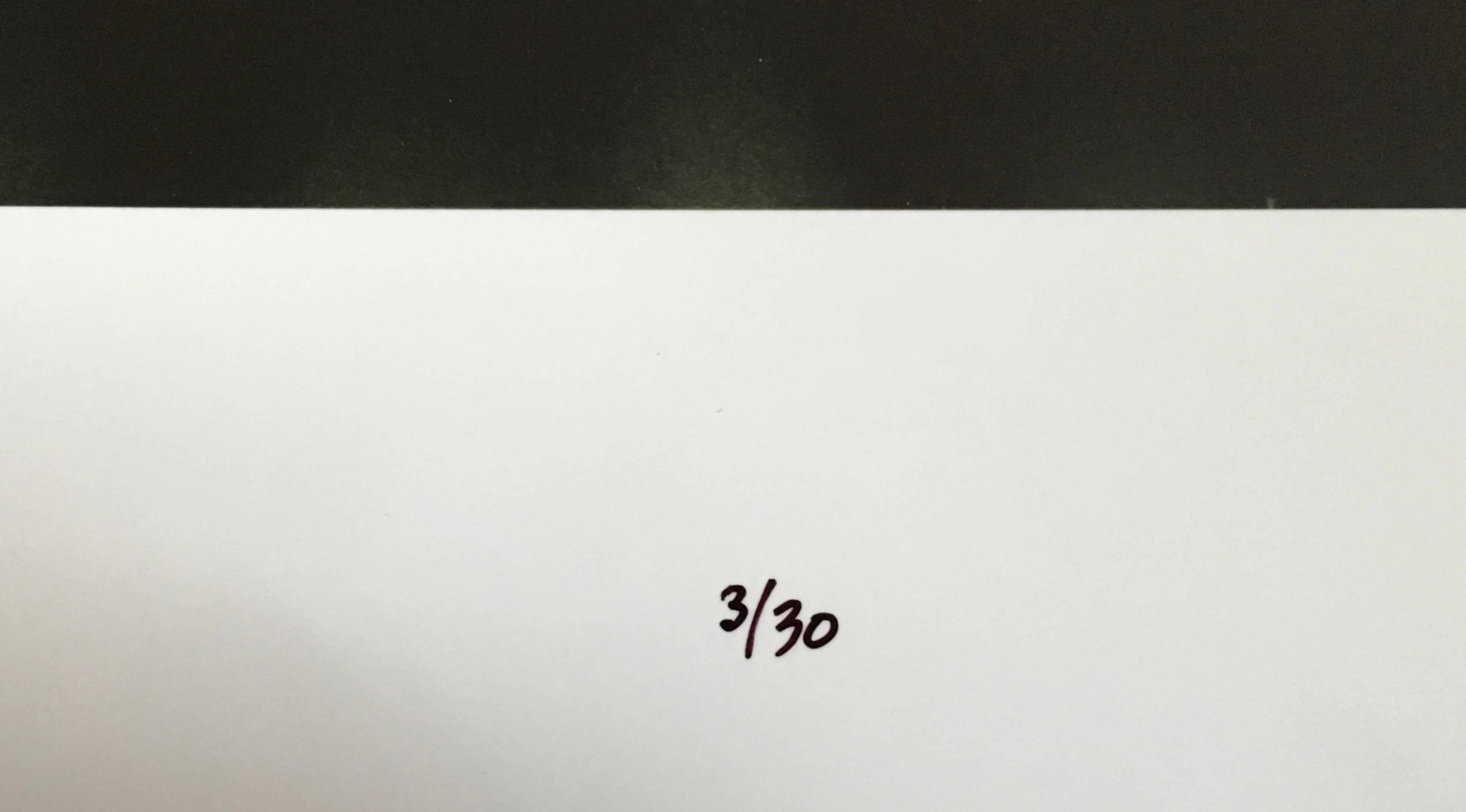 Jay Wolke vit et travaille à Chicago, dans l'Illinois. Il a présenté des expositions individuelles à l'Art Institute of Chicago, au St. Louis Art Museum, à l'université de Harvard et au California Museum of Photography. Ses photographies font partie