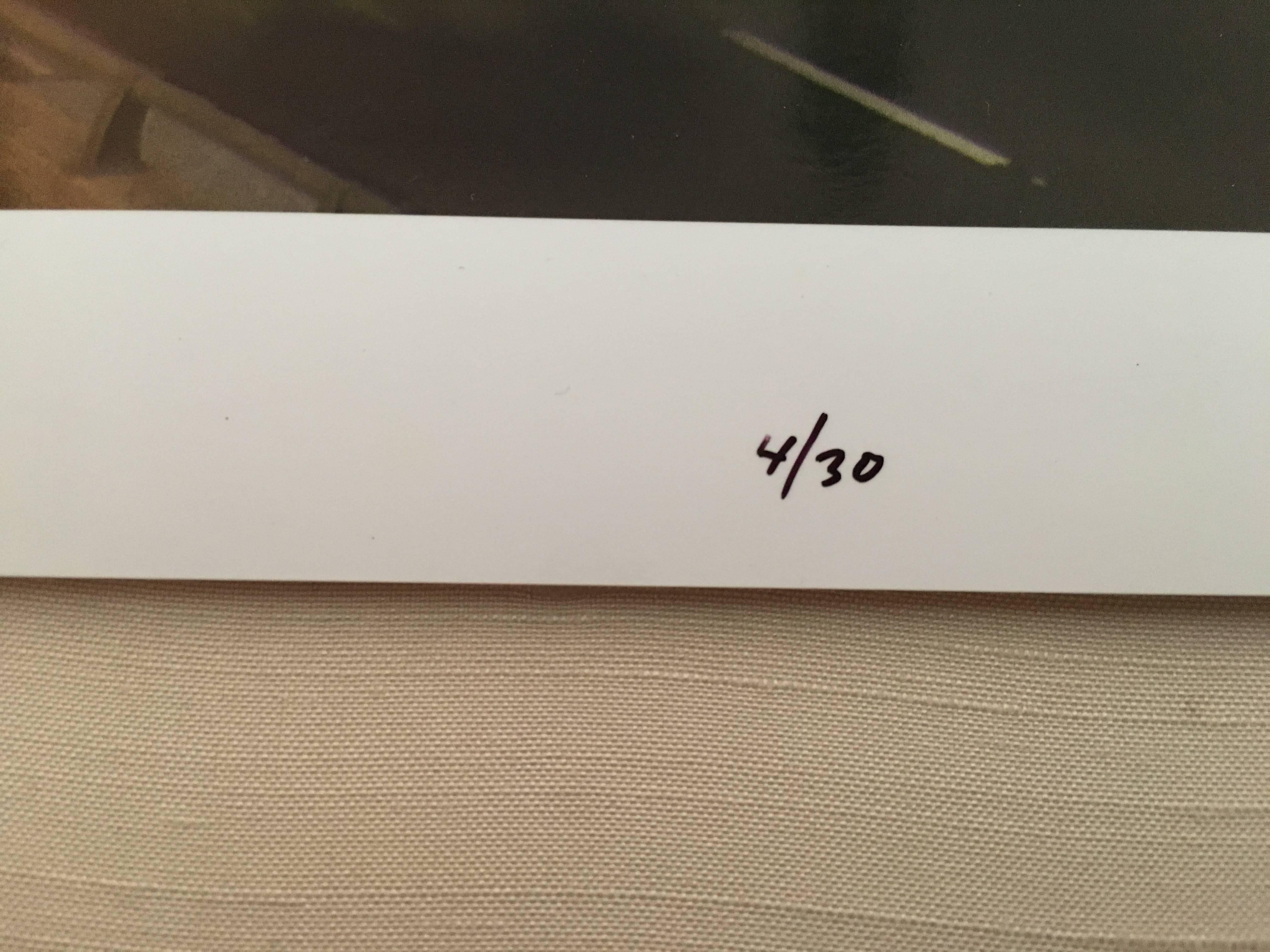 Vue de N. FR. Rubin Bros, photographie couleur à grande échelle de Chicago en vente 1