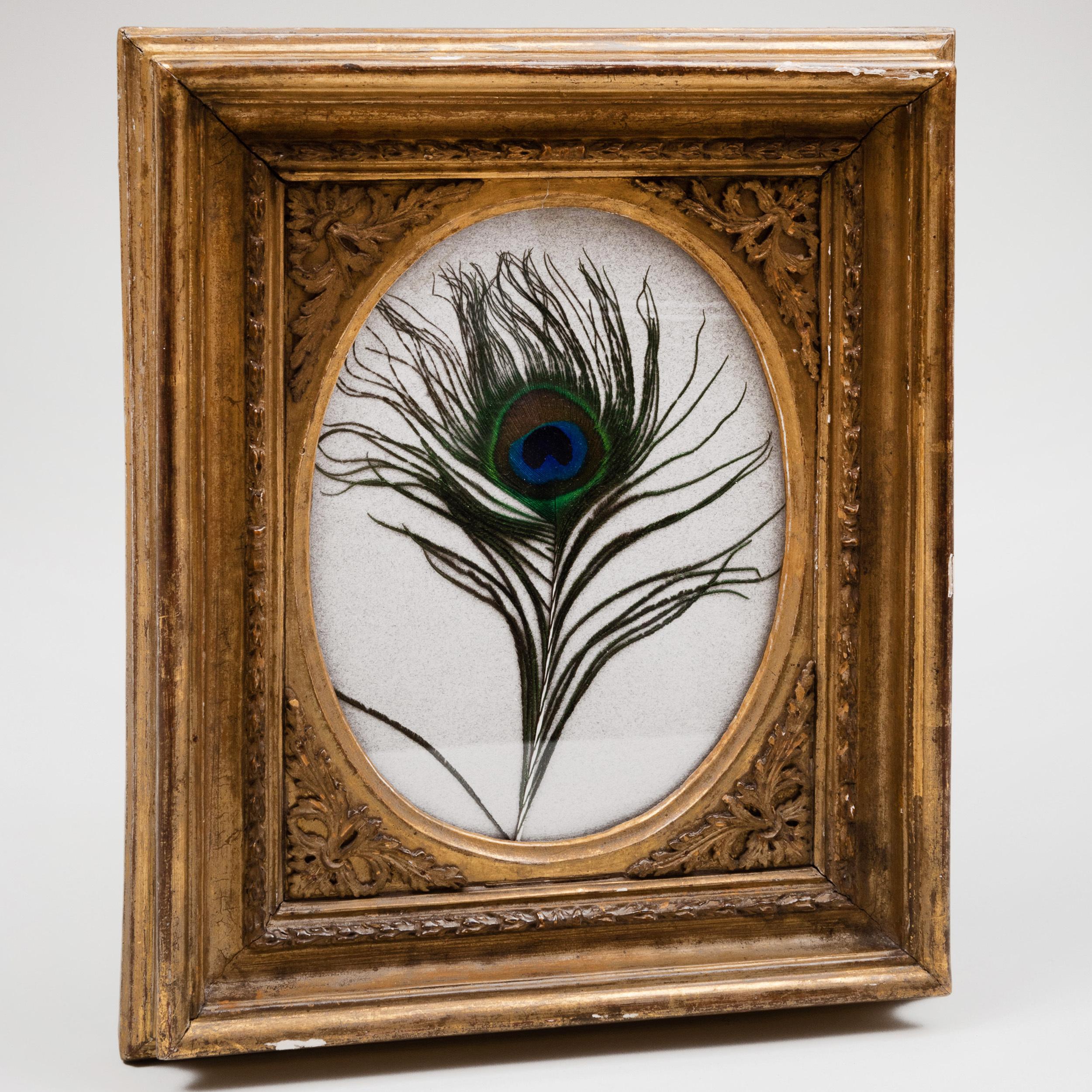 framed real feather wall art