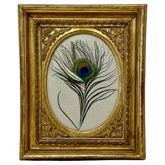 Antique Jayne Wrightsman's Peacock Feather