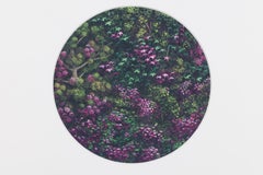 Blush Acrylic Painting on Archival Paper, Contemporary, Framed, 2010+