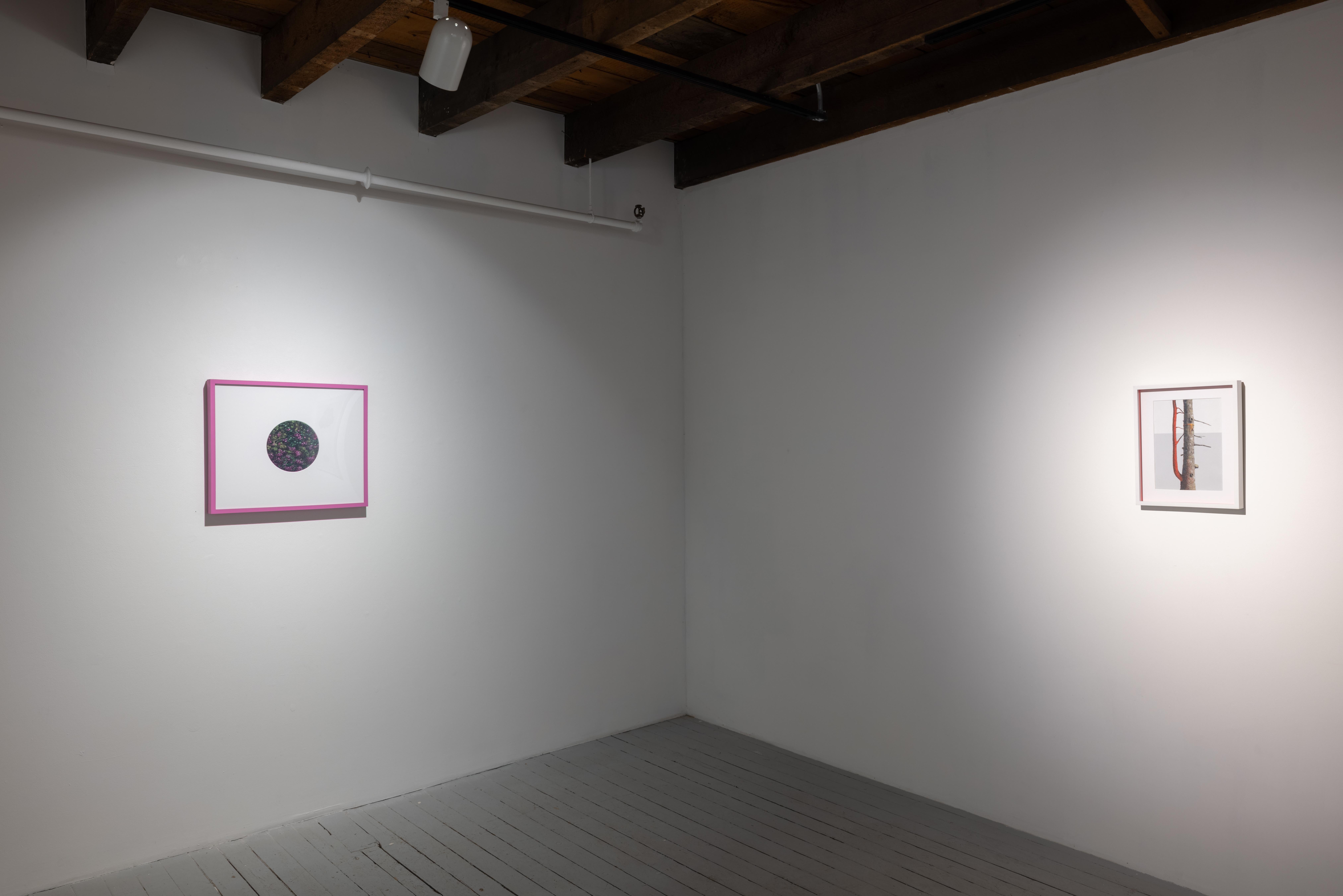 Erröten (Zeitgenössisch), Painting, von Jazz Keillor 