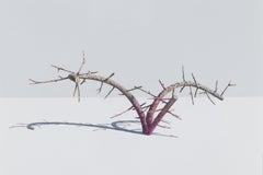 Mutate Acrylic Painting on Archival Paper, Contemporary, Framed, 2010+