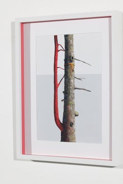 Parasite Painting on Archival Paper, Contemporary, Framed, 2010-