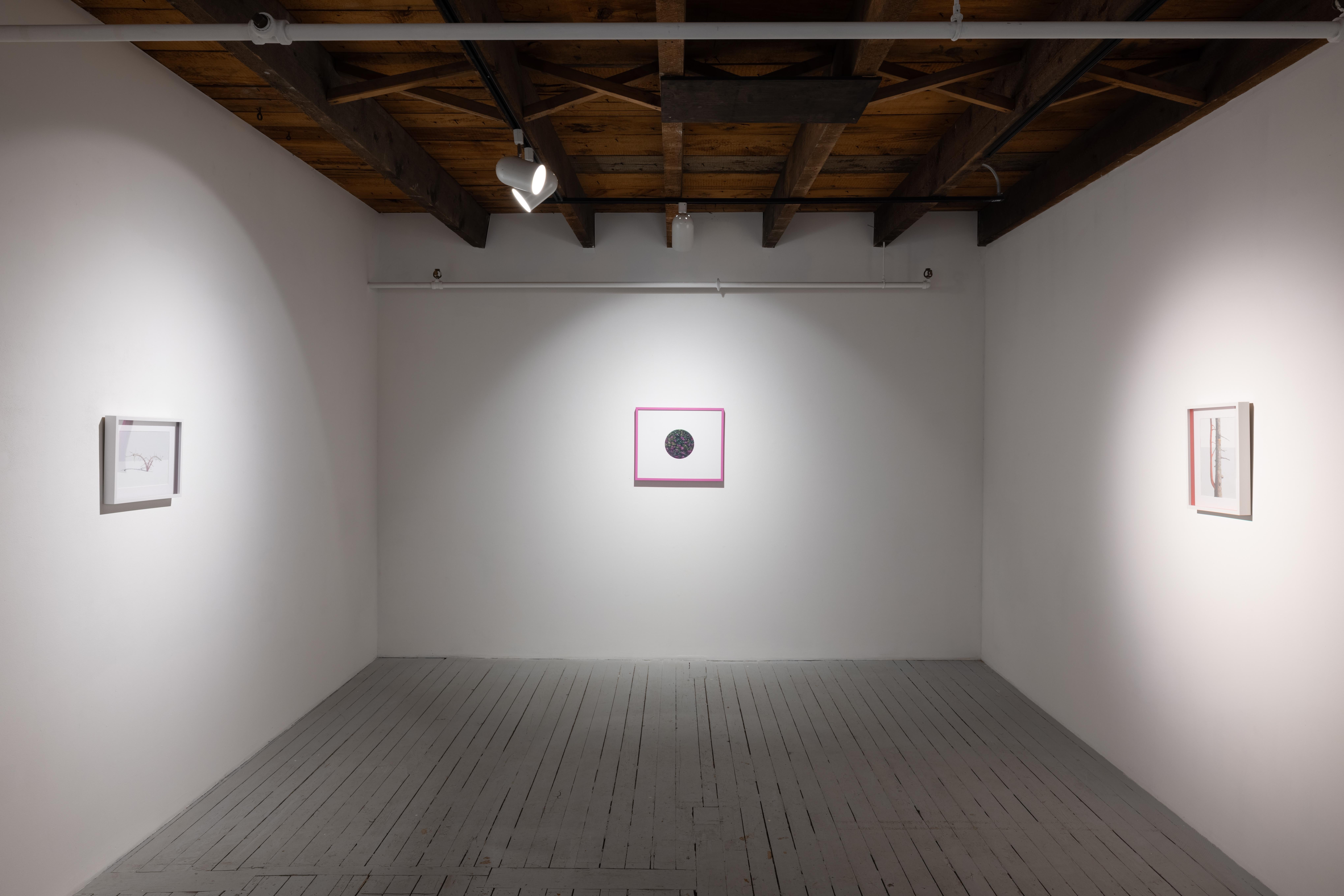 In ihrer ersten Einzelausstellung bei Art Mûr präsentiert die in Nova Scotia lebende Künstlerin Jazz Keillor Landscape(d), ein Werk, das die Bildsprache der Landschaftsmalerei sowohl evoziert als auch unterläuft. Keillor befasst sich mit