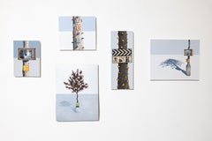 Sans titre (Mushrooms & Signage)