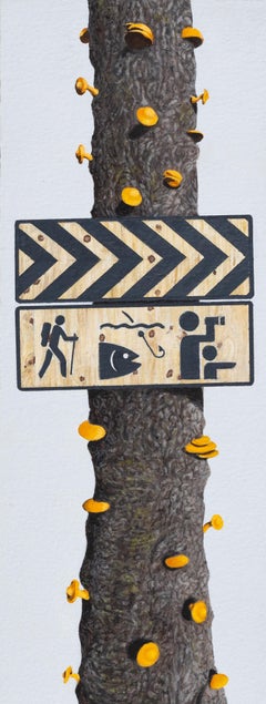 Untitled (Mushrooms & Signage)