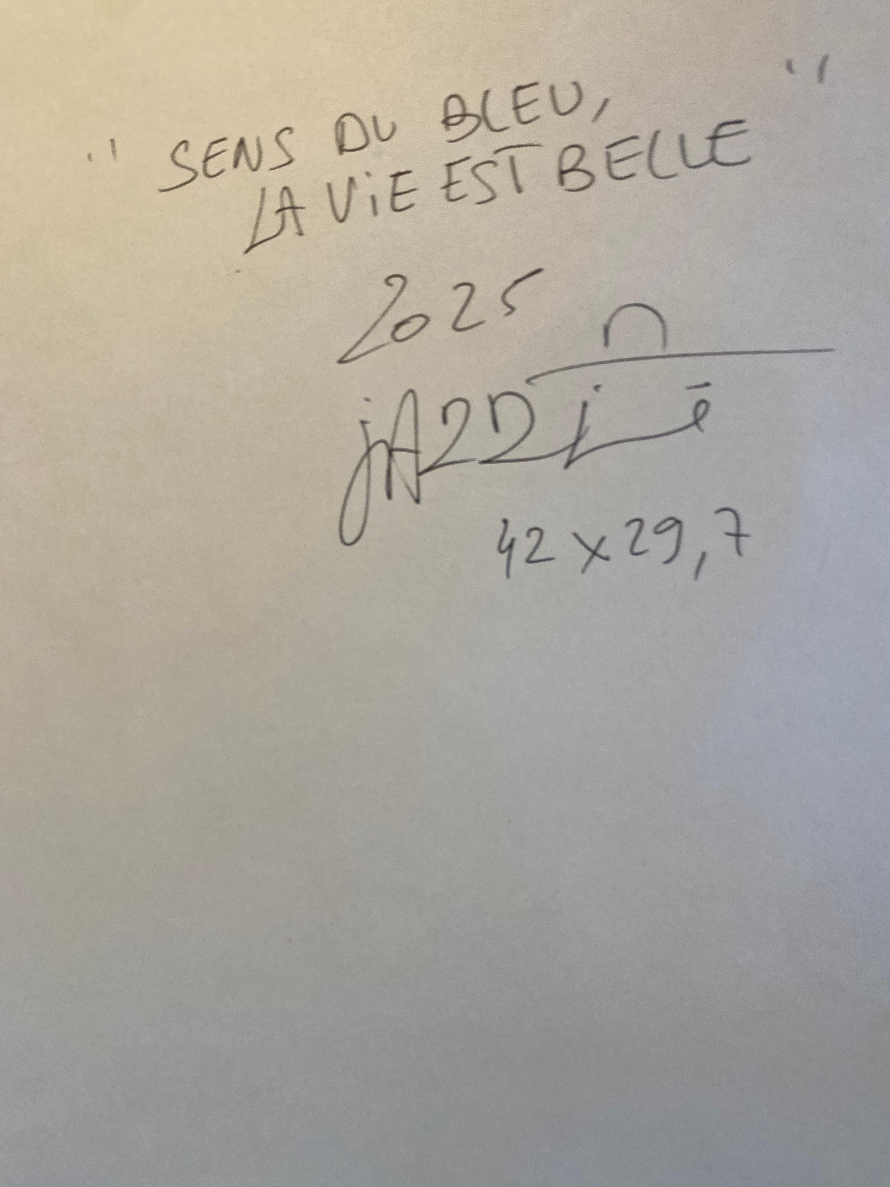 Jazzu  - Sens du bleu For Sale 6