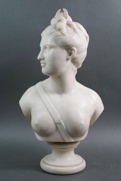 Busto in Marmo Bianco Diana Cacciatrice Scuola Francese XIX secolo