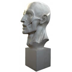 DE JEAN-ANTOINE HOUDON "ESCORTICATO" EN YESO principios del siglo XX