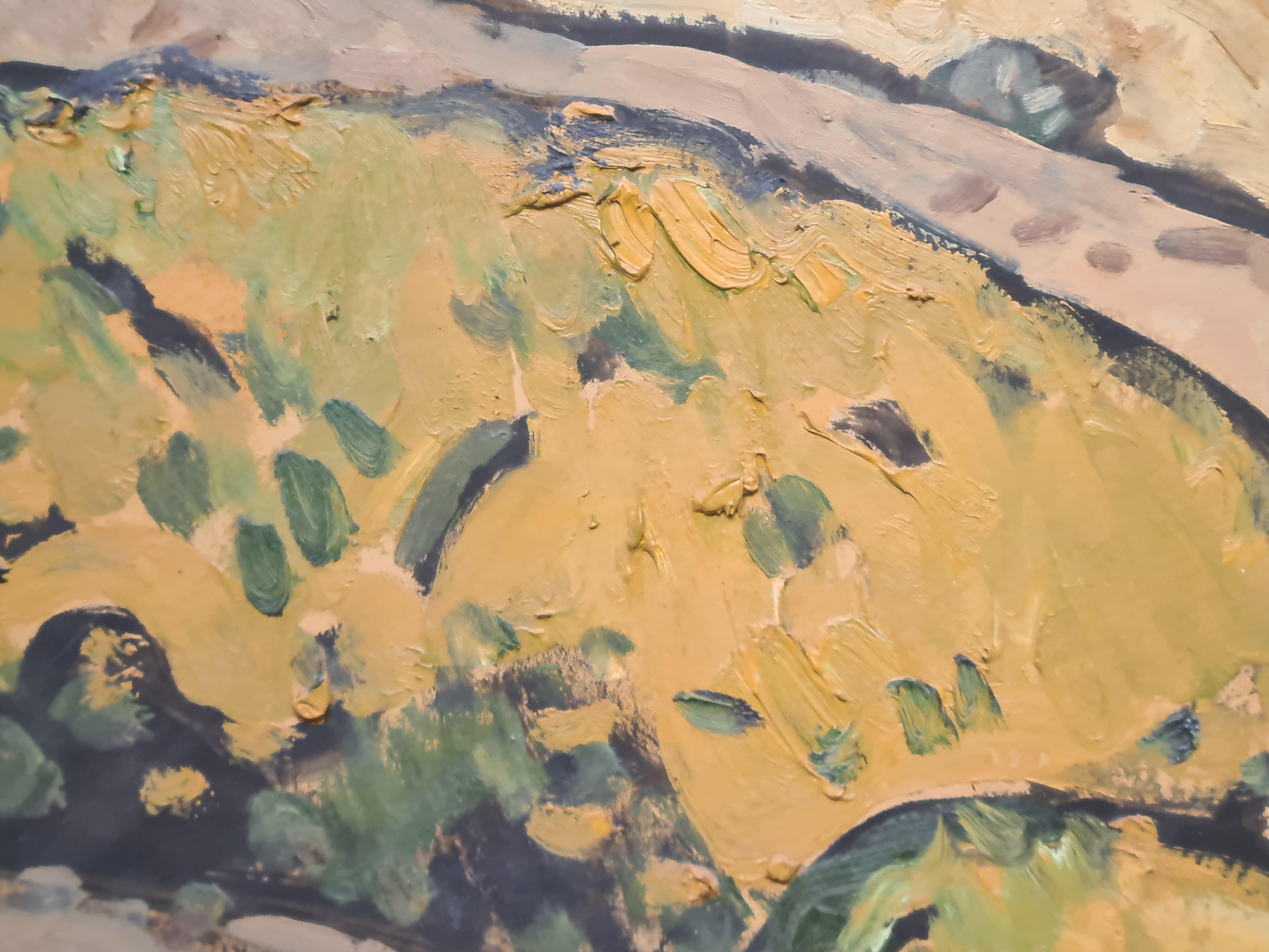 Paysage provençal expressionniste français, huile sur panneau, par l'artiste français Jean Arène (1929 - 2020), représentant un paysage provençal, du sud de la France. Le tableau est signé en bas à gauche et signé, daté et titré au dos du tableau.
