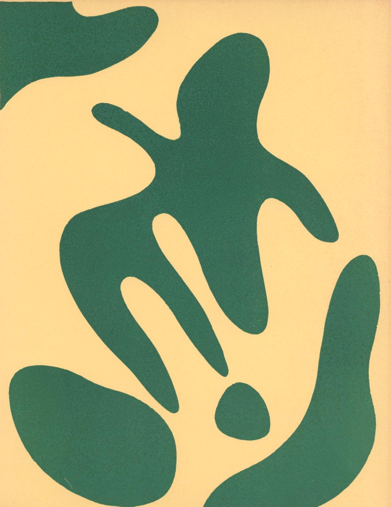 Arp, Costellazione, XXe Siècle (dopo)