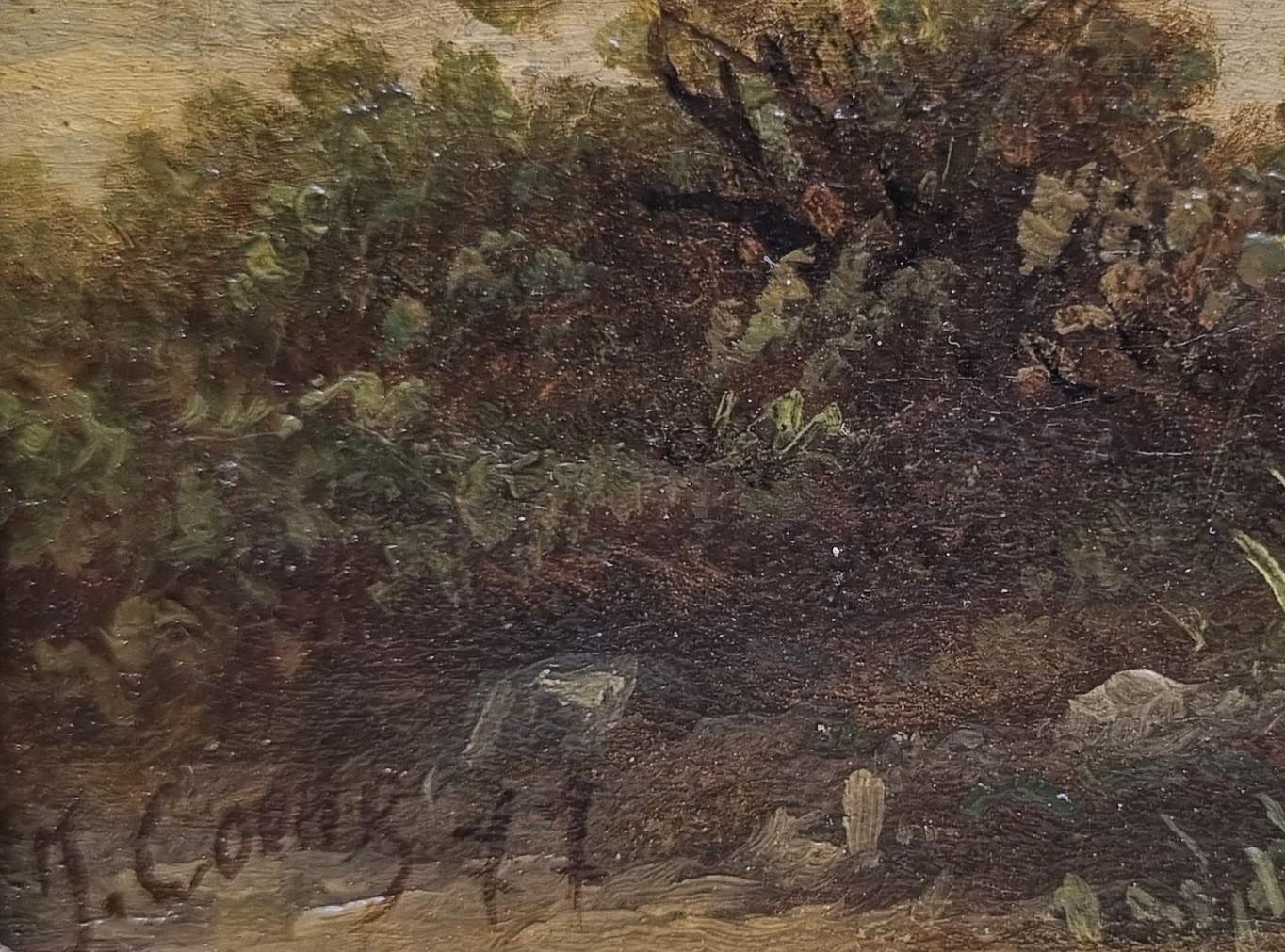 Pittura romantica di paesaggio COENE Montagne Lago Belga 19° secolo in vendita 2