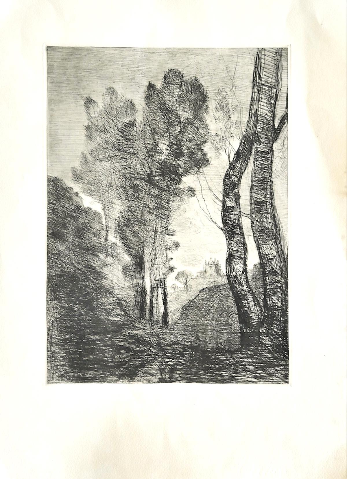 Trees - Original Etching - Late 19th Century - Print by Jean-Baptiste-Camille Corot