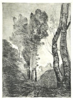 Trees - Original Etching - Late 19th Century