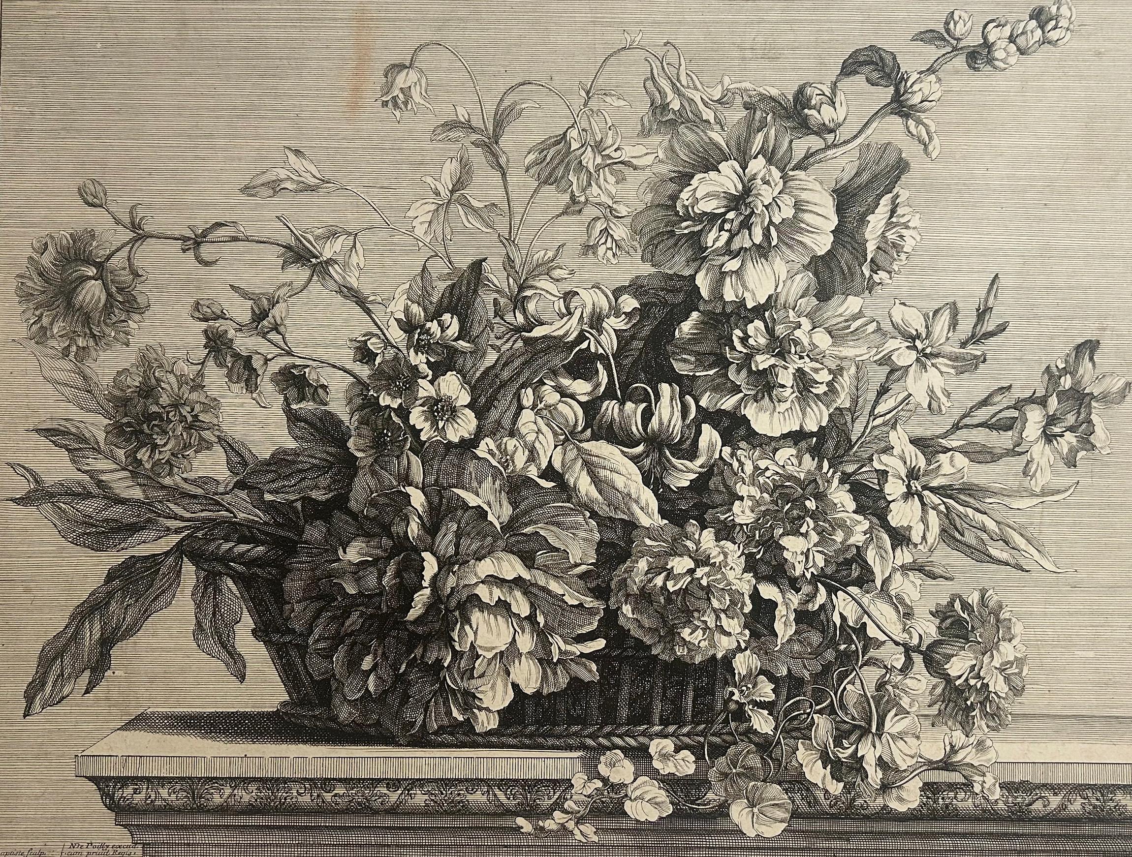 Grande corbeille de fleurs garnie de rose trémière, ancolie, pivoine, lis. - Print by Jean-Baptiste Monnoyer
