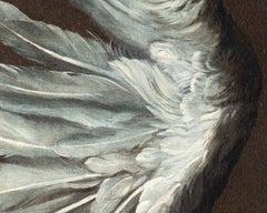 18th Century by Jean-Baptiste Oudry White duck Oil on canvas