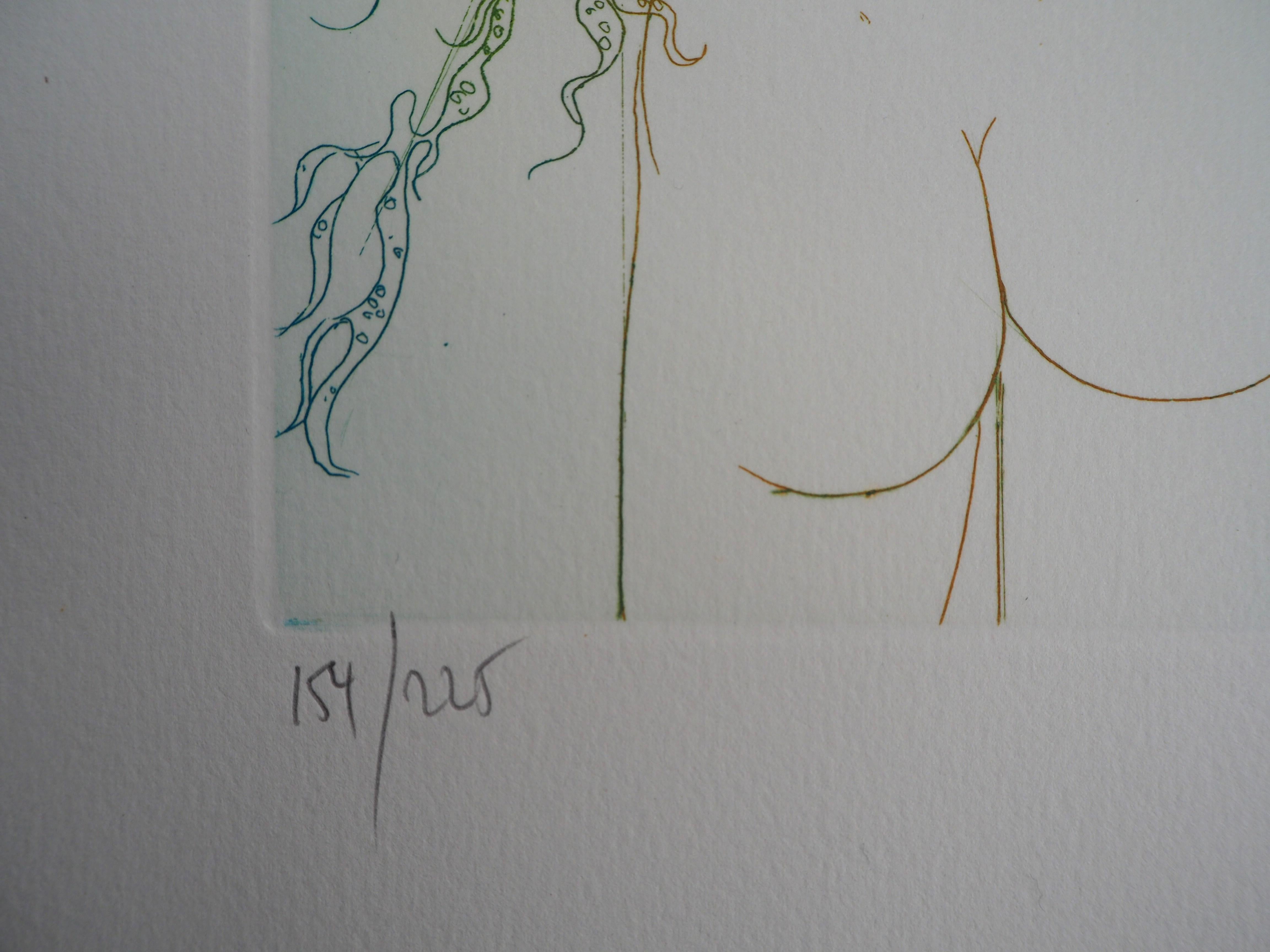 Sommer : Nacktes Modell mit Möwen – Original-Radierung, handsigniert (Grau), Nude Print, von Jean-Baptiste Valadie