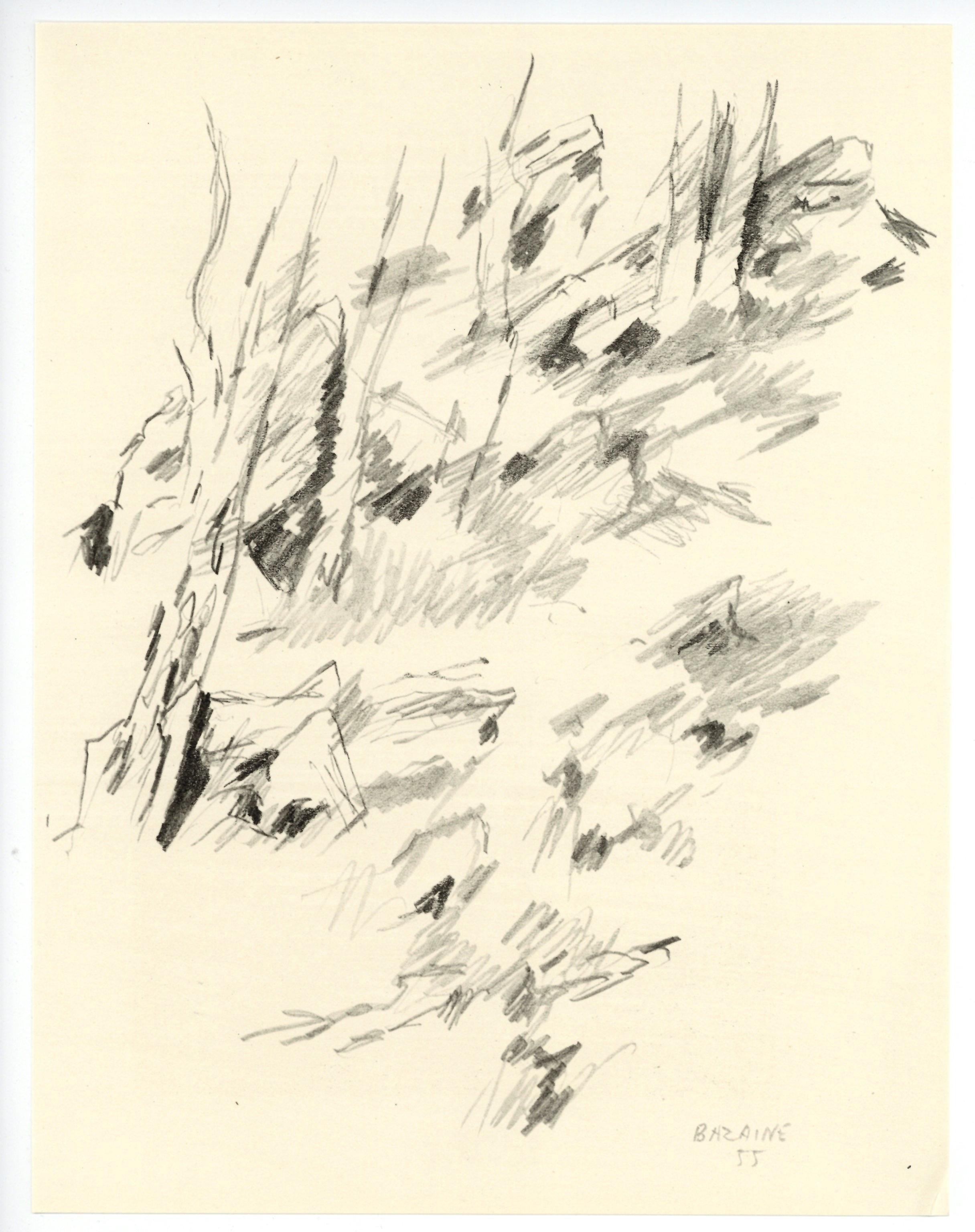 Medio: litografia (dopo il disegno). Stampato nel 1958 per la rivista d'arte XXe Siecle (numero 11) e pubblicato a Parigi da San Lazzaro. Dimensioni del foglio: 12 3/8 x 9 1/2 pollici (314 x 242 mm). Firmato nella lastra (non firmato a