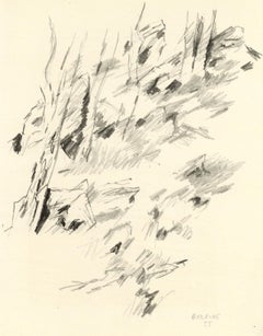 Bazaine, Composition, XXe Siècle (after)
