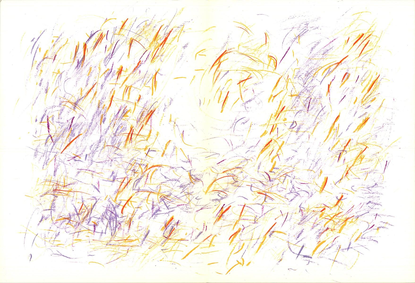 Questa litografia a doppia pagina di Derrière le Miroir (DLM) No. 170, di René Bazaine, presenta forme astratte che evocano elementi naturali come fogliame, acqua o strutture geologiche. La litografia, così come è stata pubblicata, include una linea