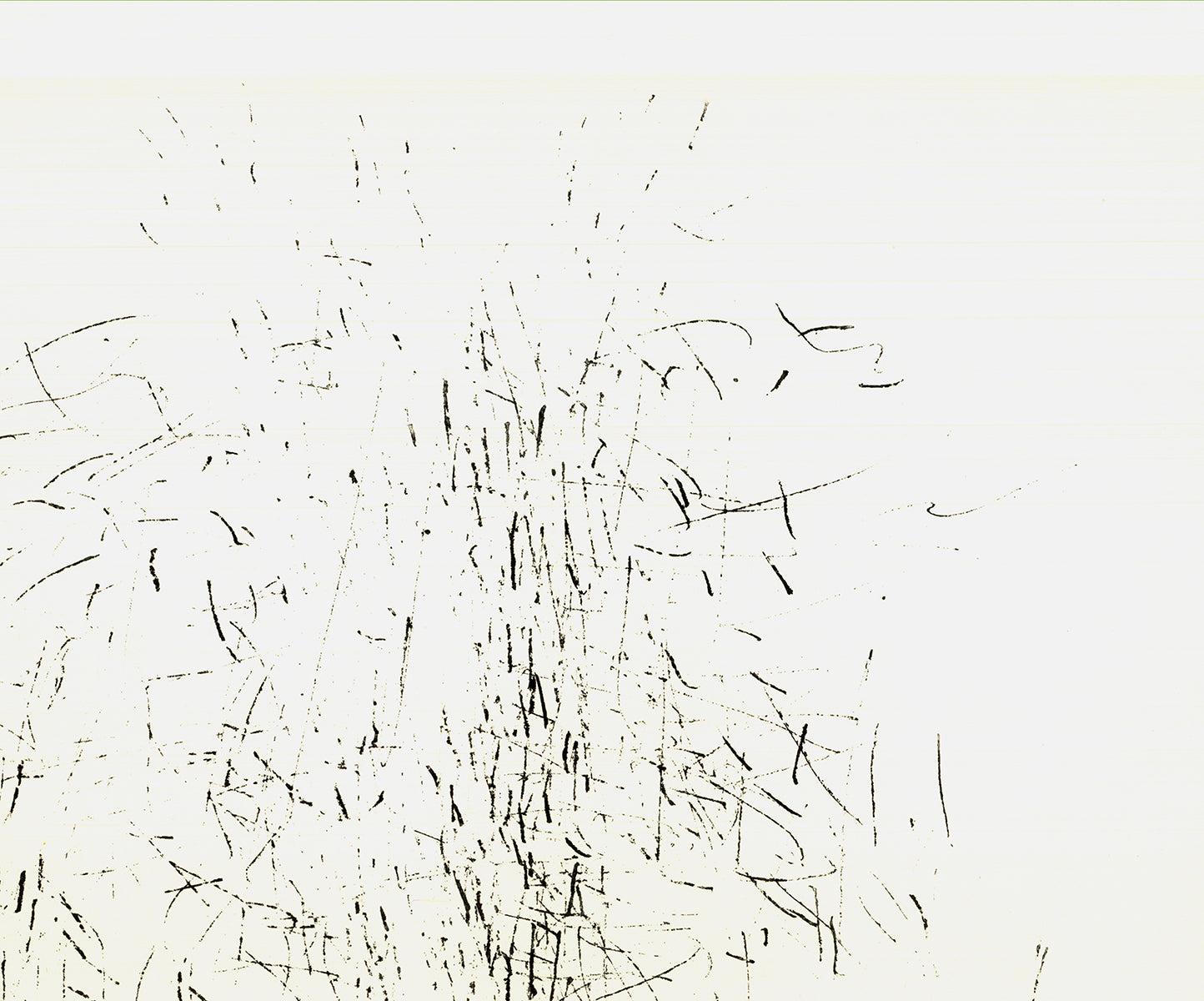 This double-page lithograph from Derrière le Miroir (DLM) No. 170, created by the acclaimed French artist René Bazaine, features abstract forms and vibrant colors, characteristic of his lyrical abstraction style. The lithograph spans two pages,