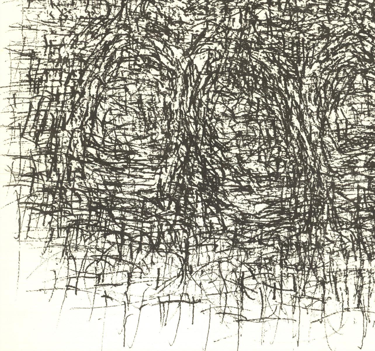 Cette lithographie est parfaite pour ajouter une touche de sophistication abstraite à divers espaces intérieurs. Ses qualités organiques et fluides en font un objet idéal pour les salons, les bureaux ou les galeries, où il peut servir de point focal