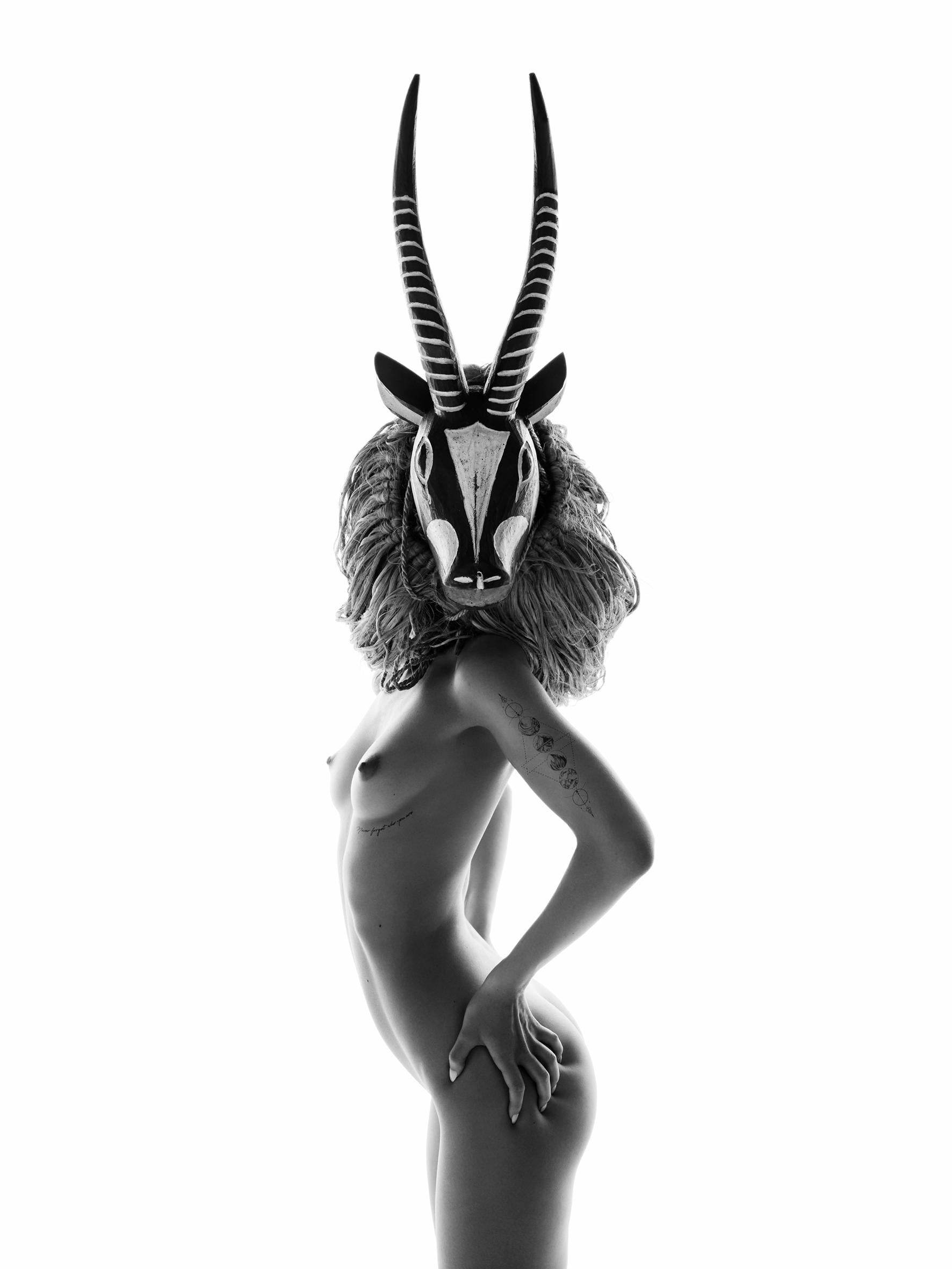 Ciwara Gazelle - Black Portrait Photograph by Jean-Bernard Thiele
