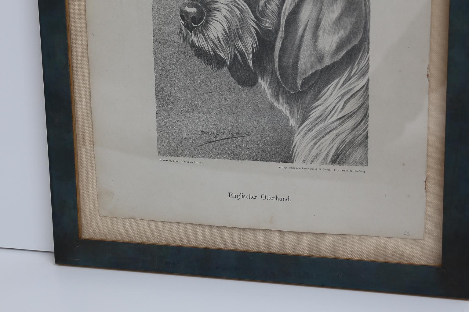 Set von Jean Bungartz Hunde-Kunstwerken – Kopfstudie Drucke im Angebot 4