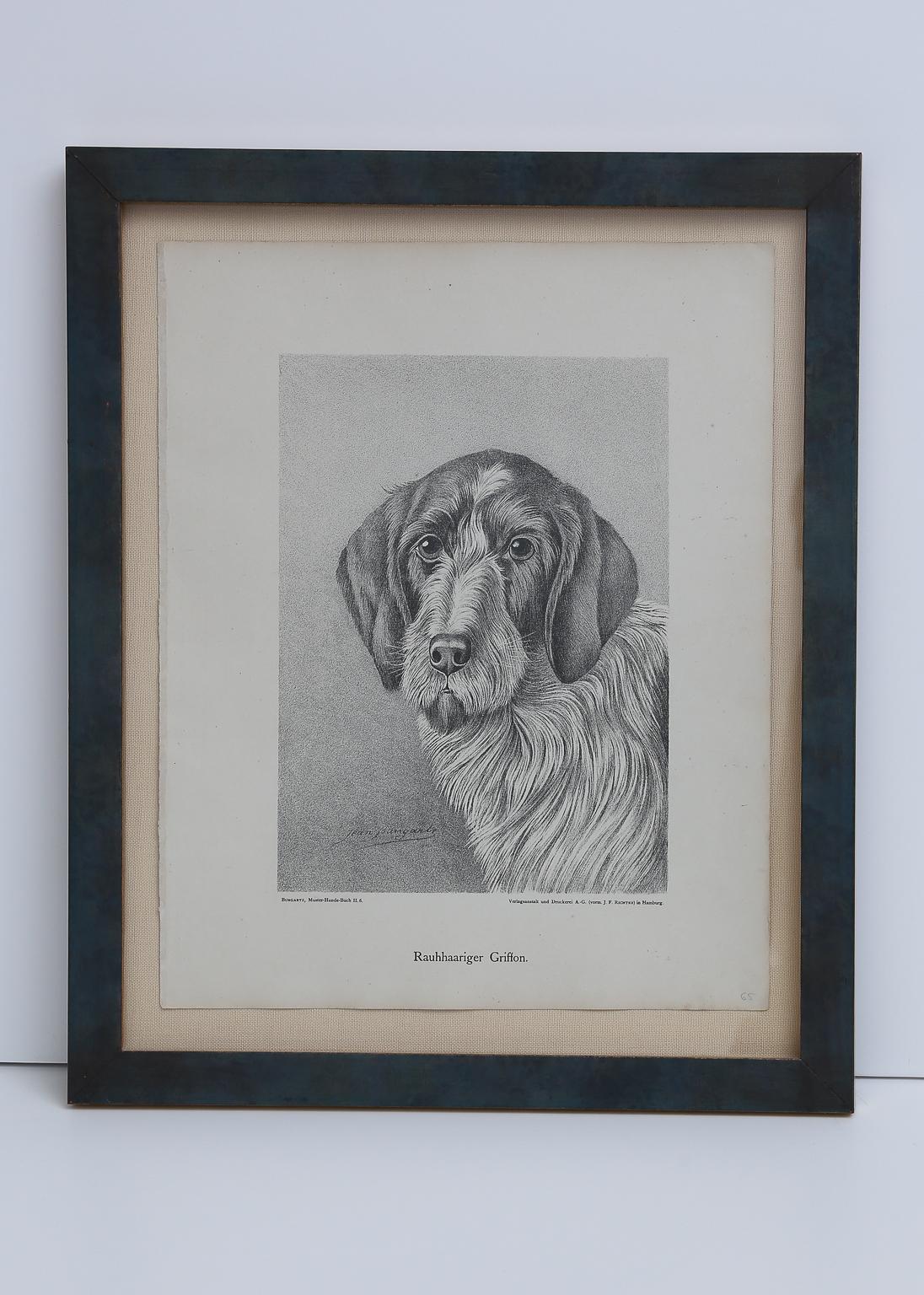 Set of Jean Bungartz Dog Art - Head Study Prints For Sale 9