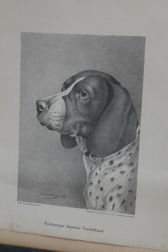 Set of Jean Bungartz Dog Art - Head Study Prints