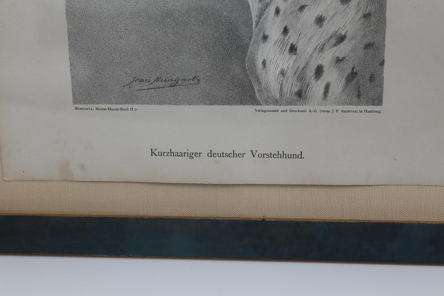 Set von Jean Bungartz Hunde-Kunstwerken – Kopfstudie Drucke (Deutsch) im Angebot