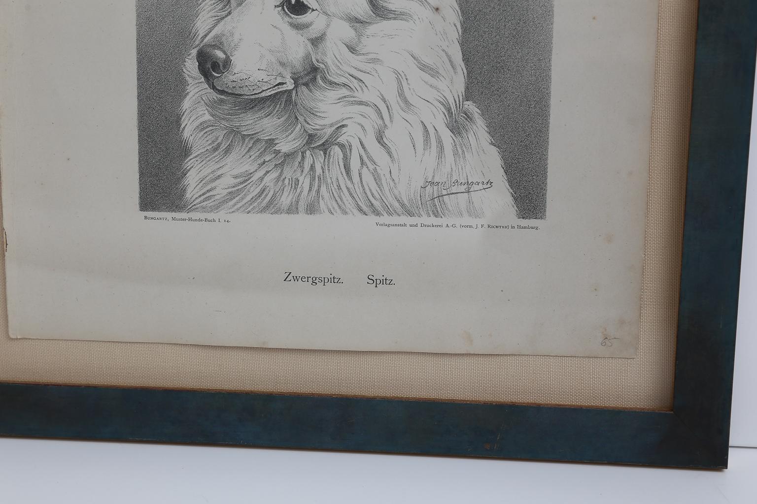 Set von Jean Bungartz Hunde-Kunstwerken – Kopfstudie Drucke (Papier) im Angebot
