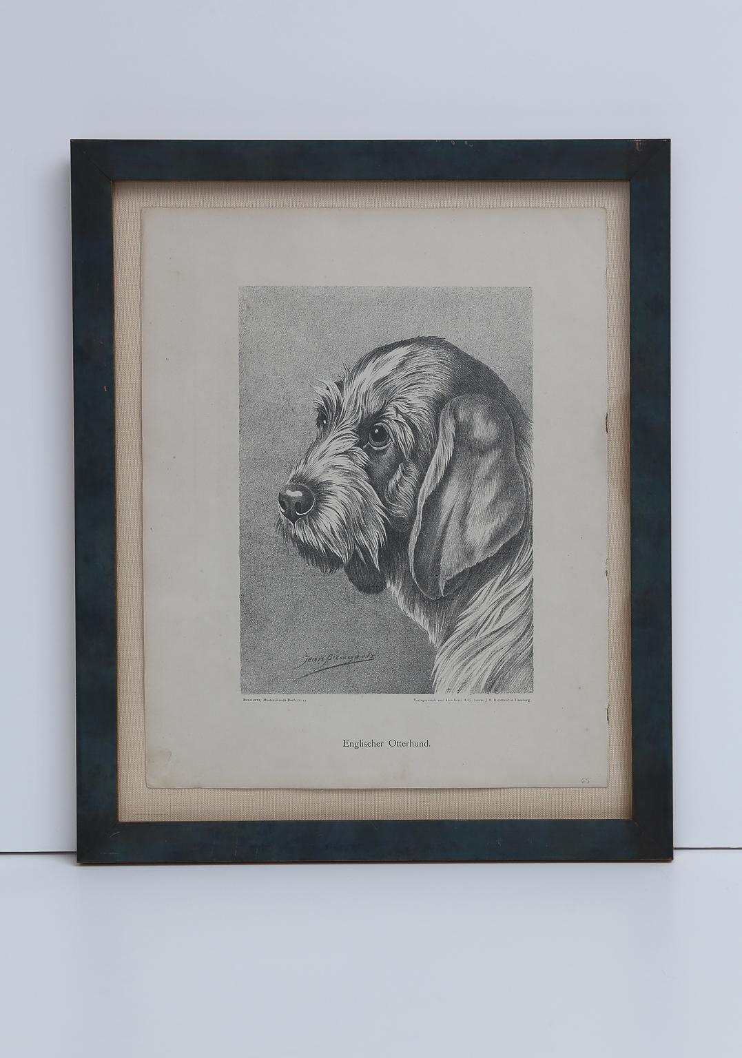 Set von Jean Bungartz Hunde-Kunstwerken – Kopfstudie Drucke im Angebot 2