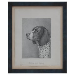 Set of Jean Bungartz Dog Art - Head Study Prints