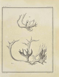 Horns - Gravure à l'eau-forte de Jean C.C. Baquoy - 1771