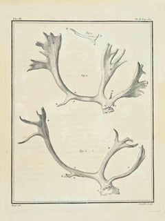 Horns - Gravure à l'eau-forte de Jean C.C. Baquoy - 1771