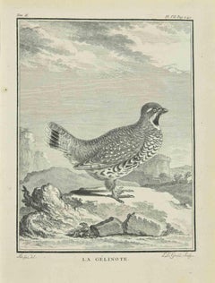 La Gélinote - Radierung von Jean C.C. Baquoy - 1771