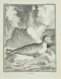 Le Foque - Etching by Jean C. Baquoy - 1771