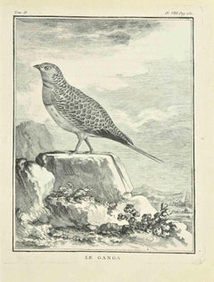 Le Ganga - Etching by Jean C. Baquoy - 1771