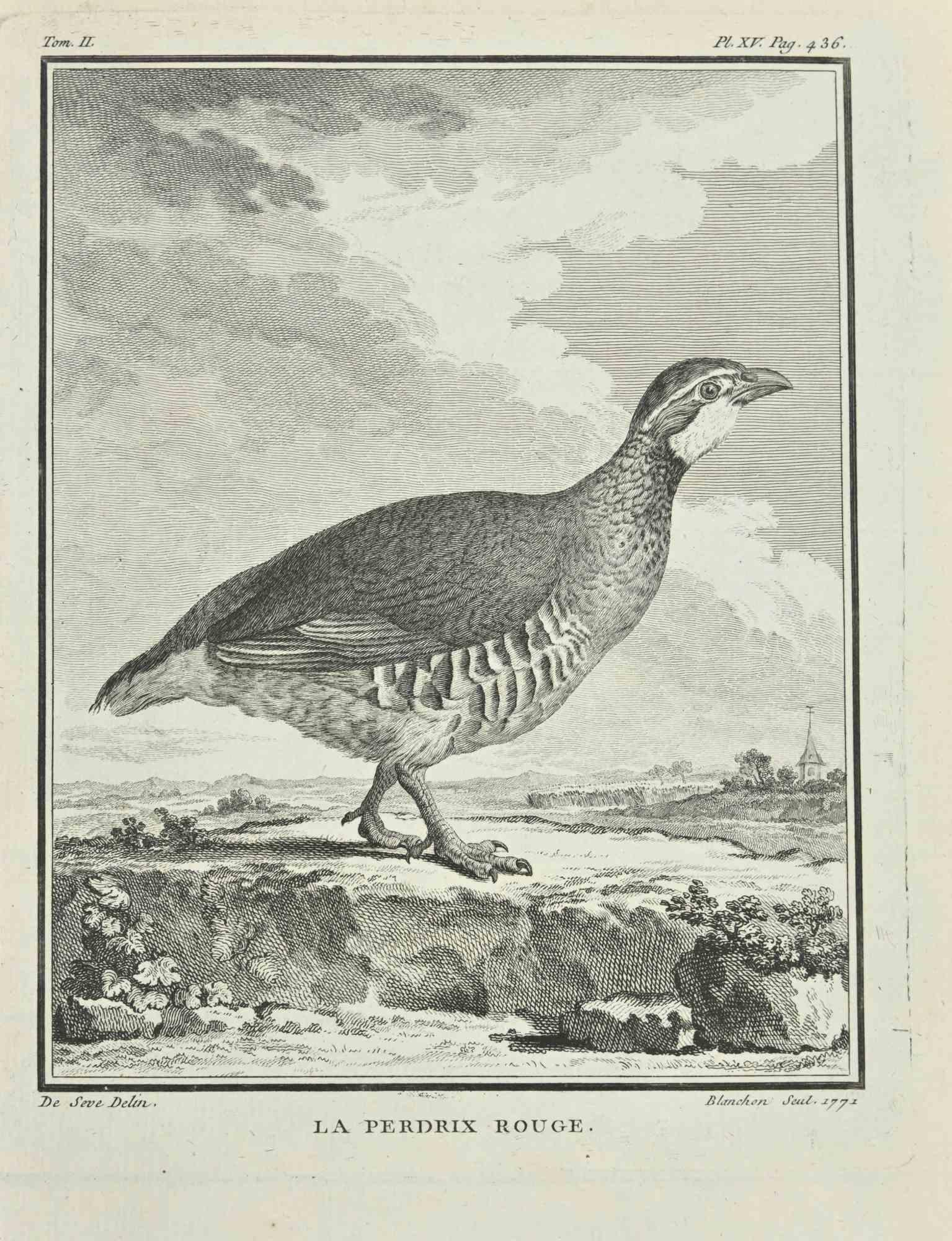 Figurative Print de Jean Charles Baquoy - Le Perdrix Rouge - Aguafuerte de Jean C. Baquoy - 1771