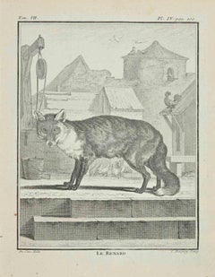 Le Renard - Gravure de Jean C.I.C. - 1771